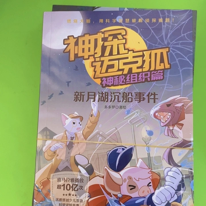 神探迈克狐神秘组织篇六本