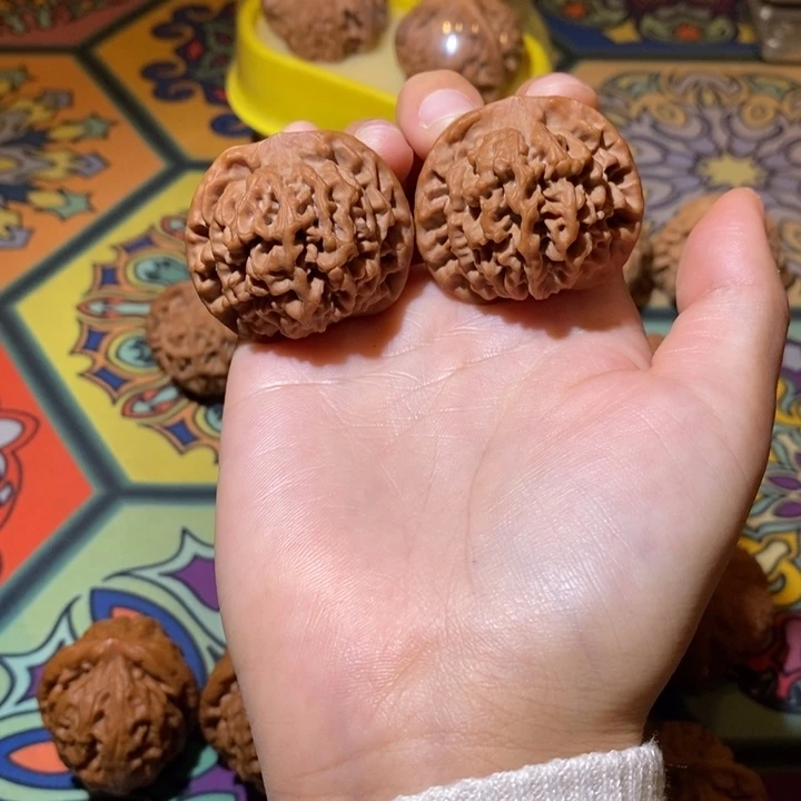 38全品毕业秦闷毕业