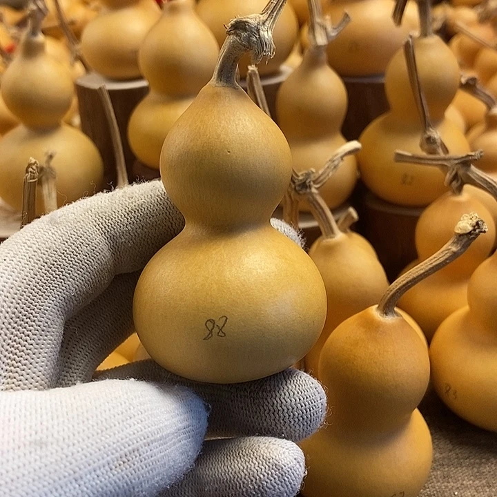 文玩葫芦 完美主义者 慎拍88