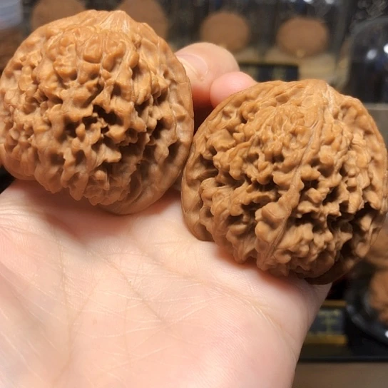 精品：肉纹满天星