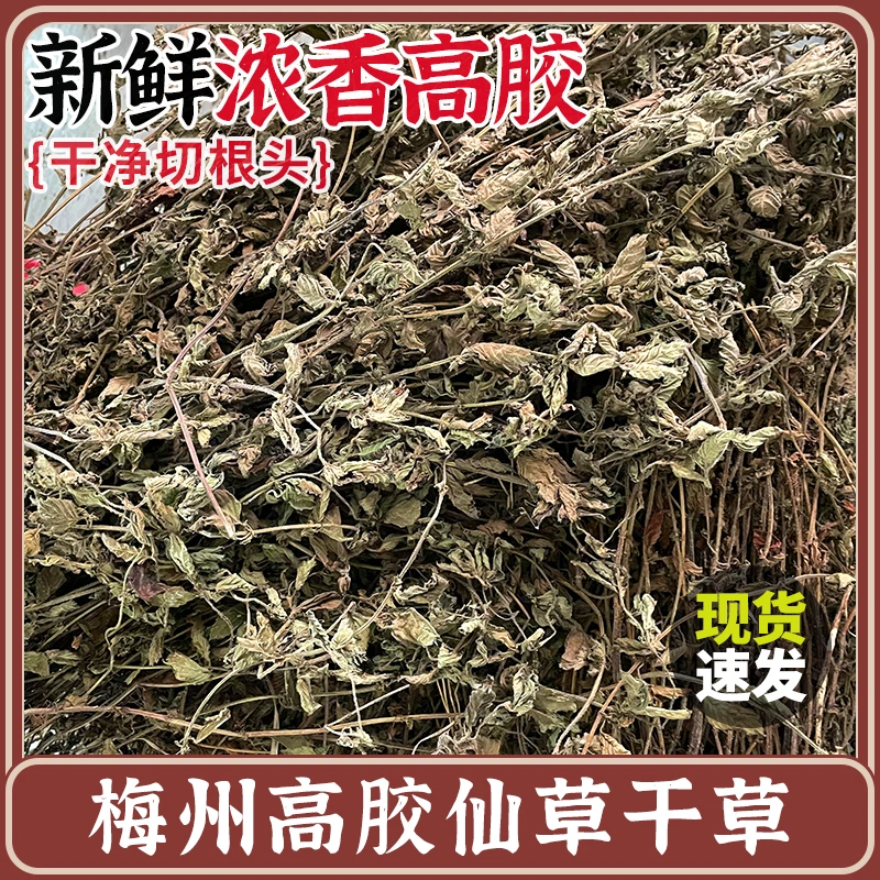 广东梅州烧仙草干草黑凉粉龟苓膏原料仙草蜜冻仙人草粿叶子高胶