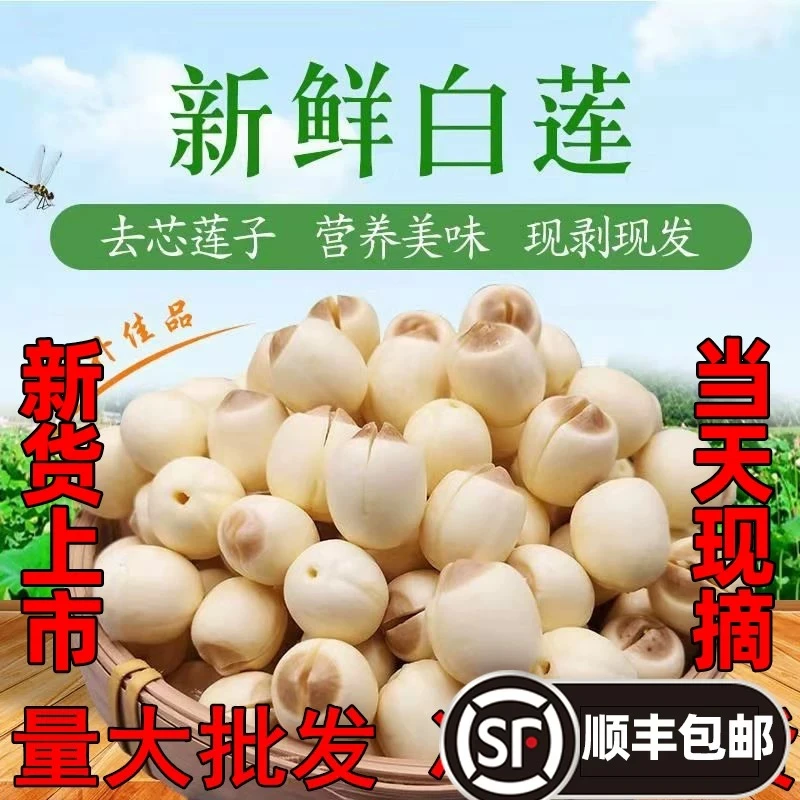 2025年头茬鲜莲手工剥壳去皮去芯现采现剥顺丰包邮易煮粉糯清香