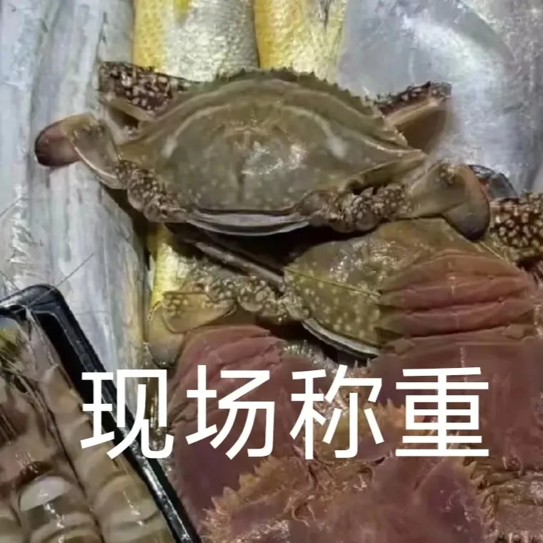 海鲜套餐现场称重新鲜海鲜斤两只包邮