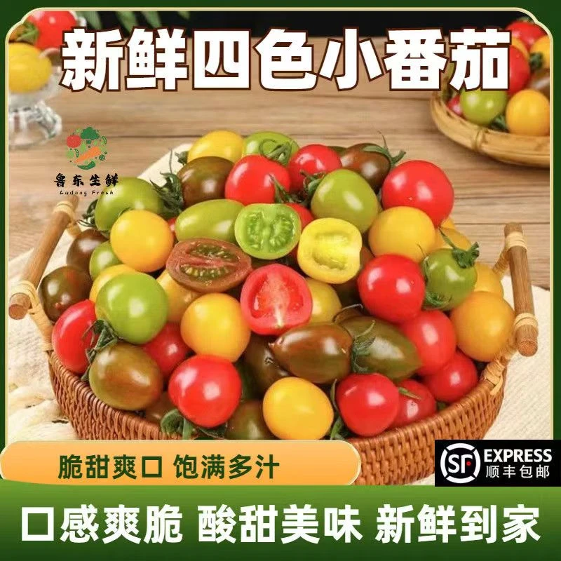 【顺丰包邮】寿光新鲜四色小番茄青口蜜夏日阳光迷彩小番茄圣女果
