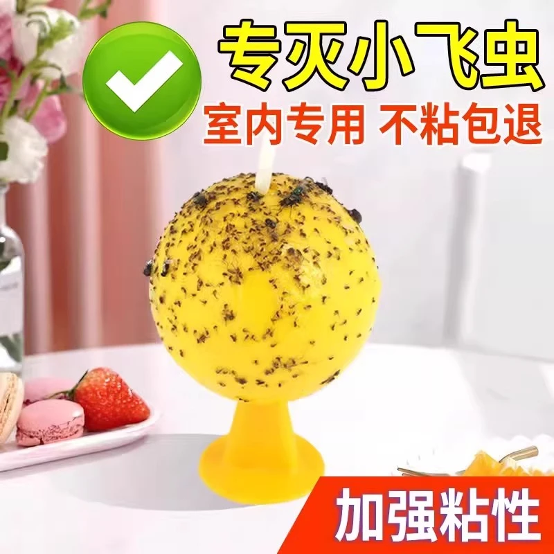 果蝇诱捕器粘虫球诱苍蝇蚊子厨房小飞虫灭杀神器苍蝇贴强力粘蝇纸