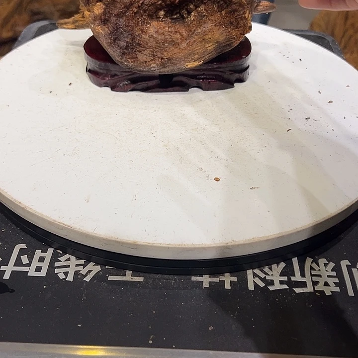 松木（琥珀木）?****?