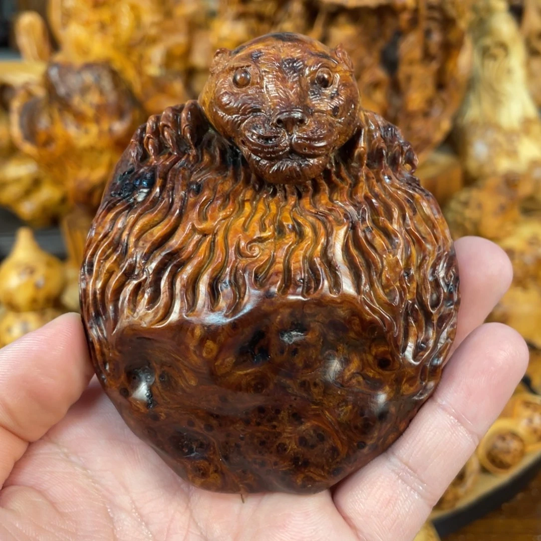 柏木（崖柏）太行崖柏