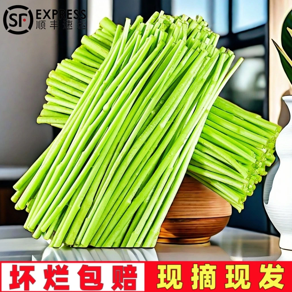 顺丰包邮农家现摘去叶根净菜芦蒿黎蒿藜蒿泥蒿柳蒿芽精选野菜