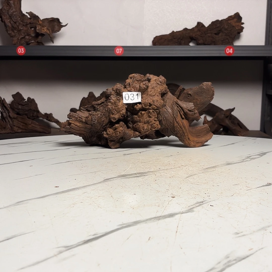 率***）云南本地紫柚木031