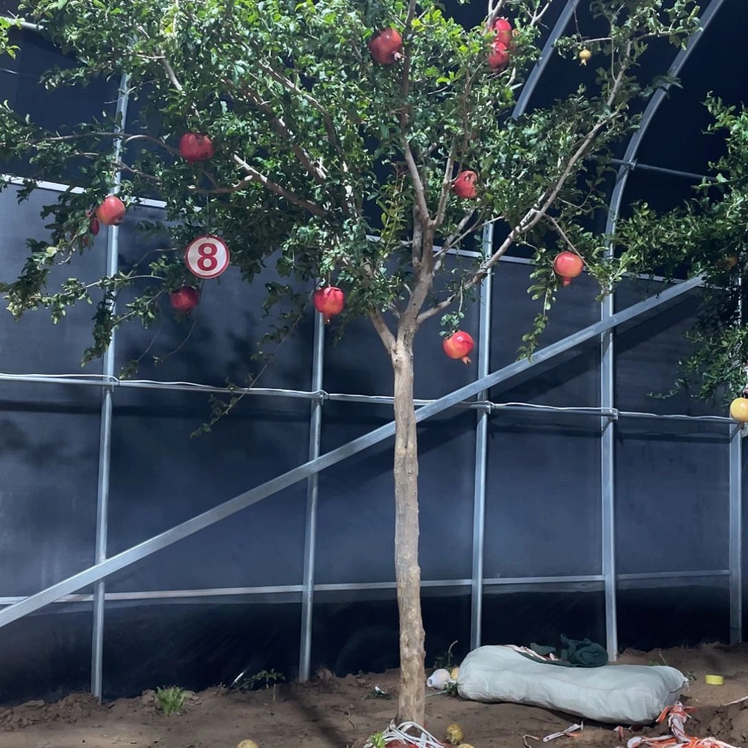 少量花朵（建议范围：2朵-5朵 或40%以下）