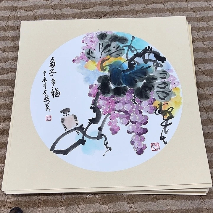 国画花鸟的翅膀和翅膀50.50