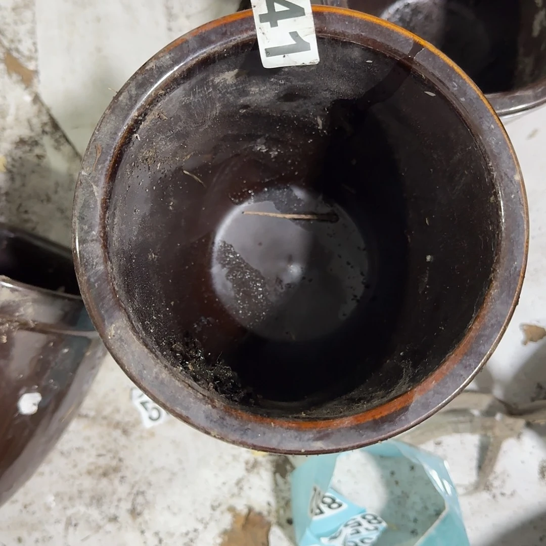 南***店茶盏好喜欢好可爱哦宝宝抱