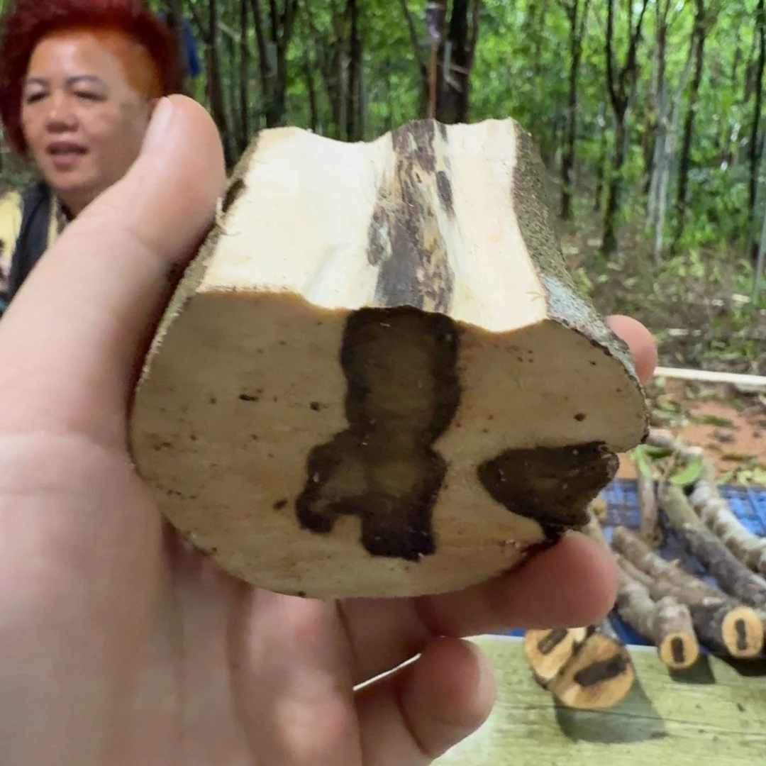 线香奇楠沉香原木
