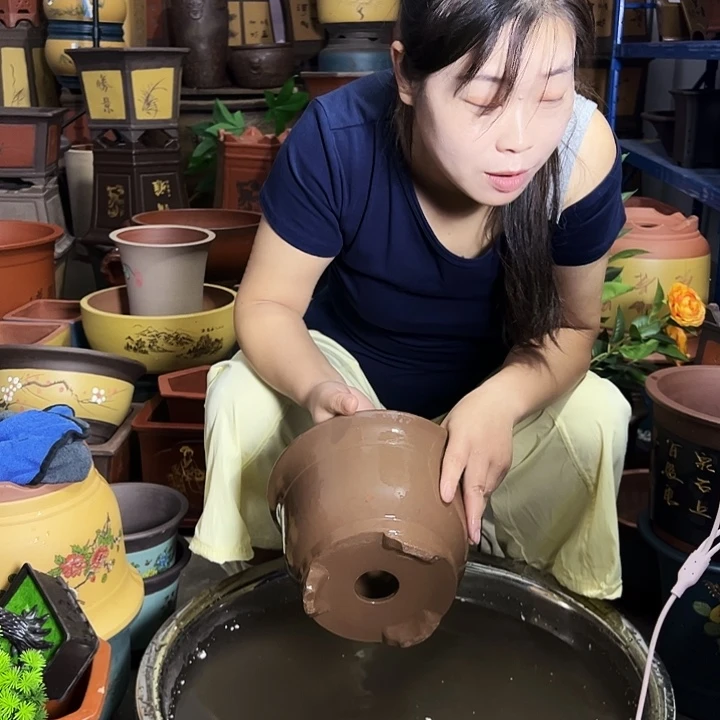素面小马查林21花盆花盆