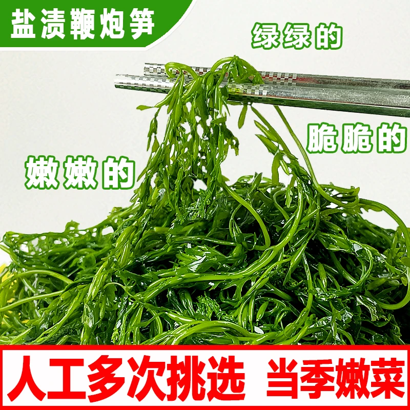 鲜嫩盐渍马尾藻海草鞭炮笋长寿菜凉拌火锅商用食材5斤