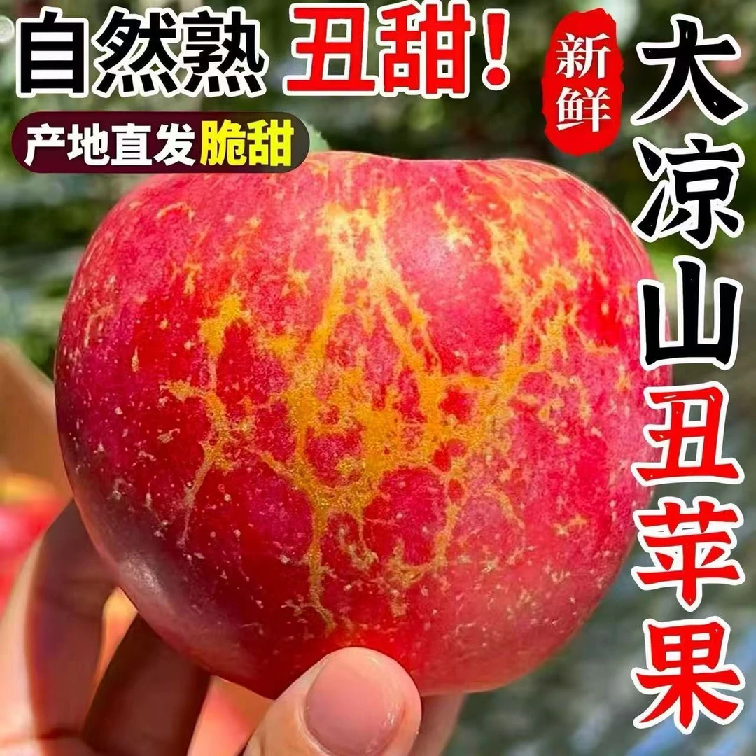 【生鲜专线】大凉山丑苹果好吃香脆清甜多汁全国多仓中转发出1901四川省