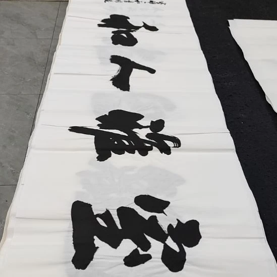 翰墨申国栋老师作品一副