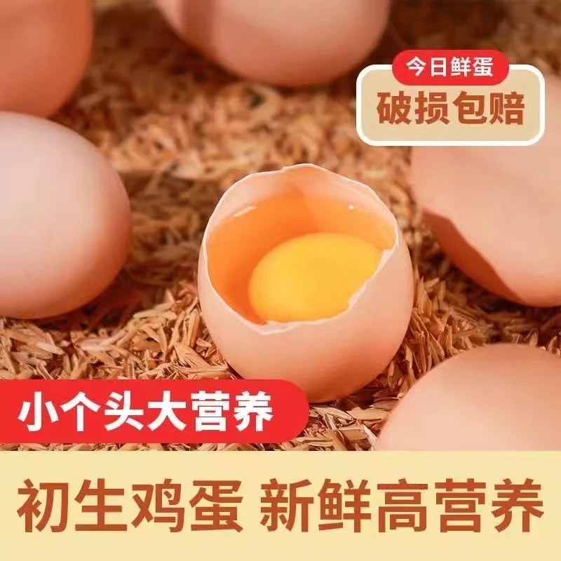 初生鸡蛋 农场直发无激素无抗体无添加（30枚）
