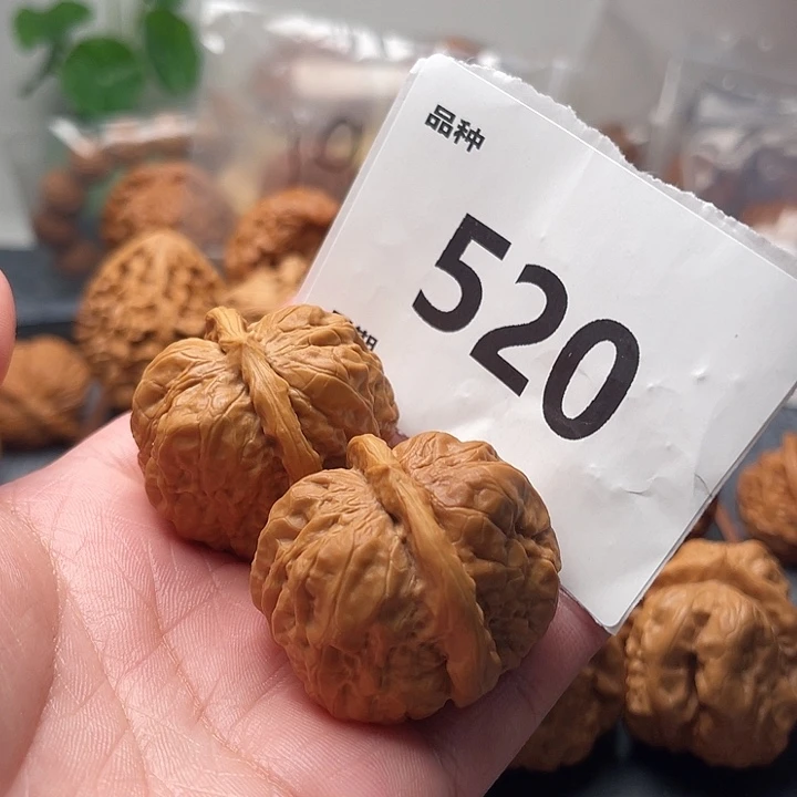 文玩核桃把件蛤蟆 边36