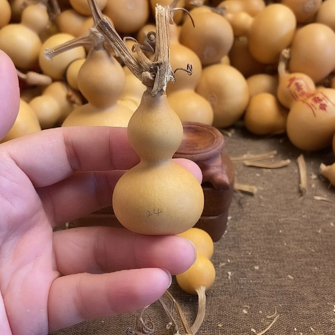 文玩葫芦 完美主义者 慎拍24