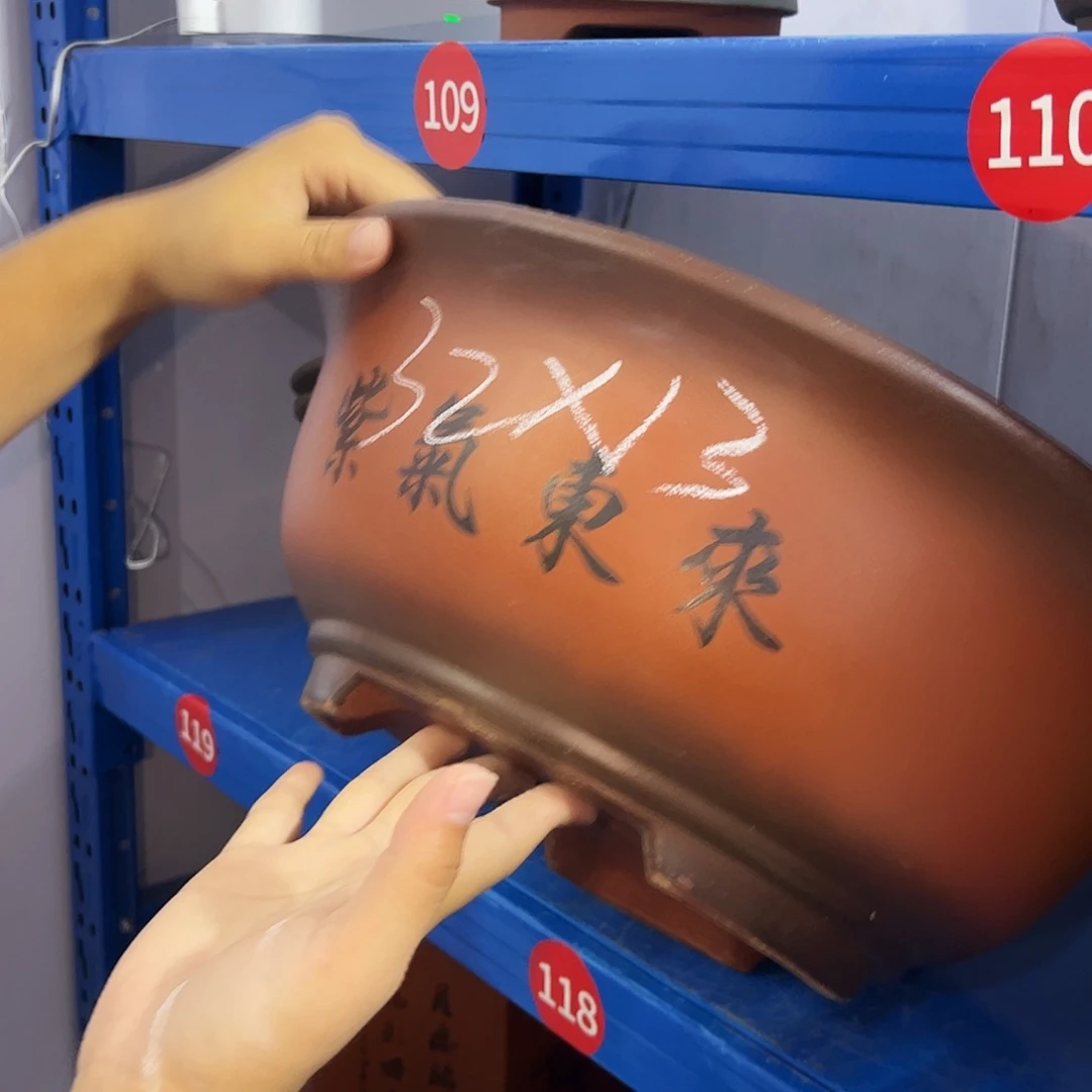 小红花盆花盆花盆花盆