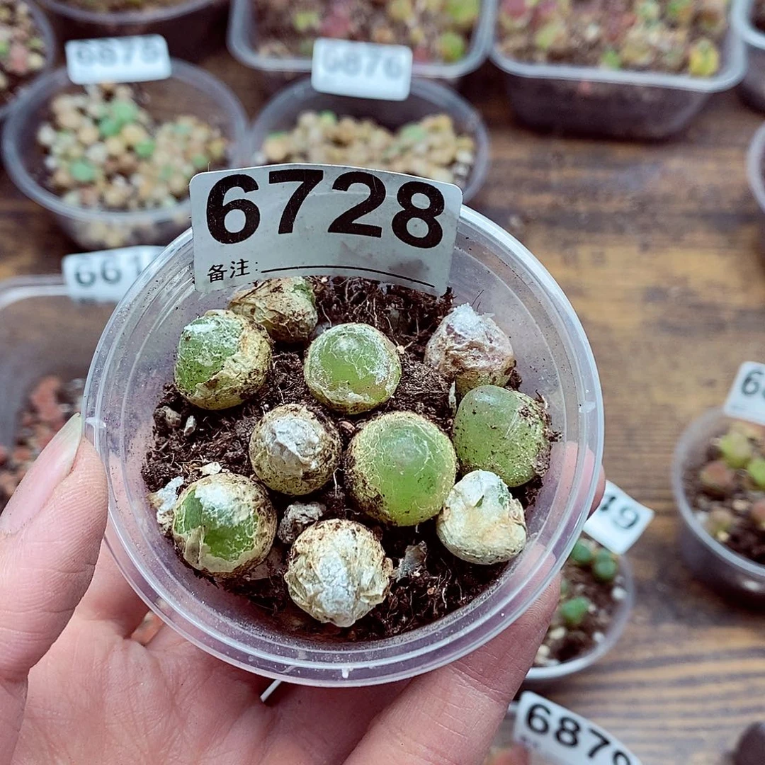 6728啊啊啊啊啊啊