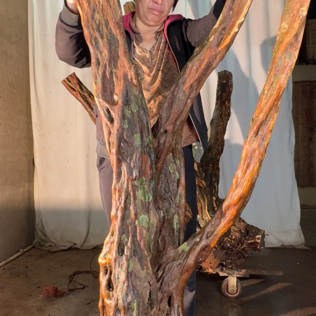 自***在666666666666666666