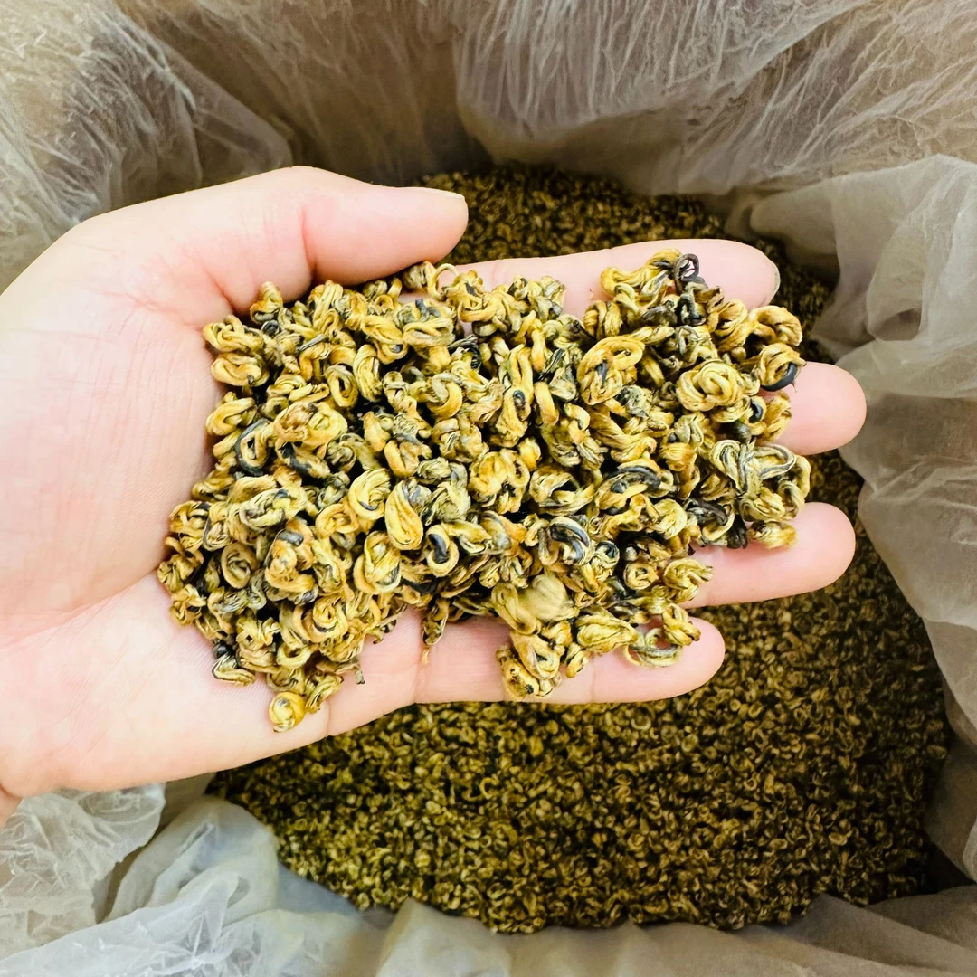 云南滇红 滇红金螺 花果香 滋味鲜爽醇厚饱满耐泡400