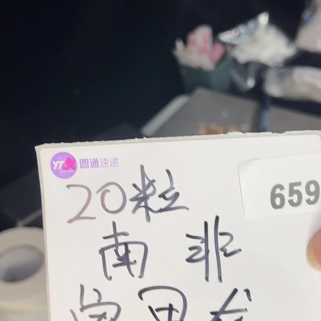 多肉植物专拍植物不退换 一物一拍 659