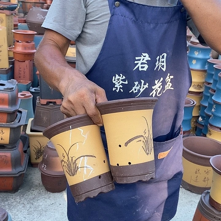 紫砂花盆紫砂花盆盆栽植物花卉种植