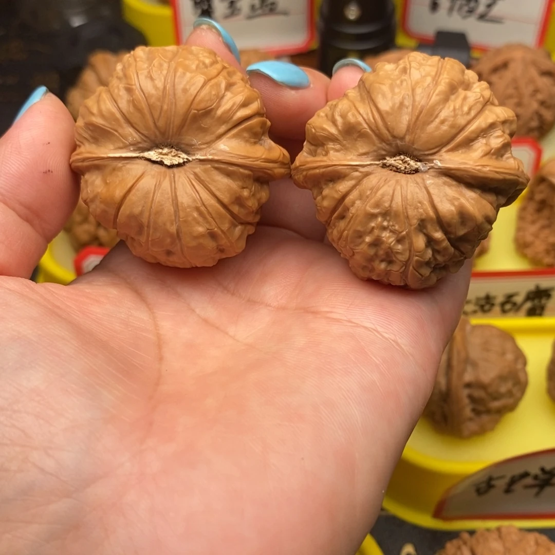 一***ᵏ菩提籽类南瓜墩墩