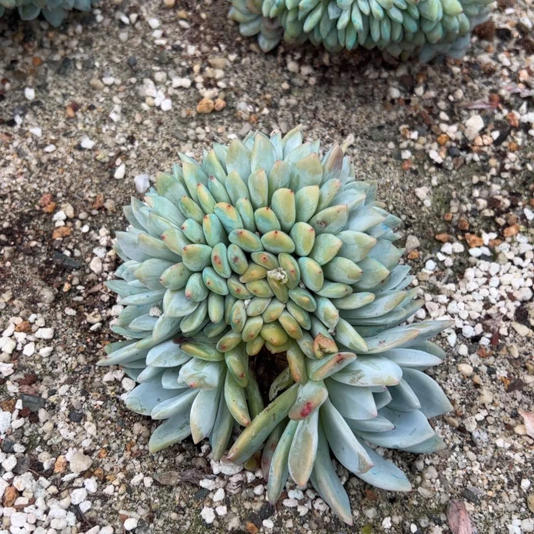 点点滴滴点点滴滴