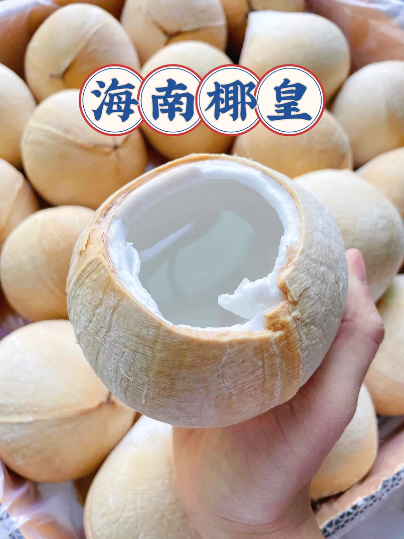 正宗海南文昌东郊椰皇 挂在树上的纯天然电解质水  孕妈妈首选