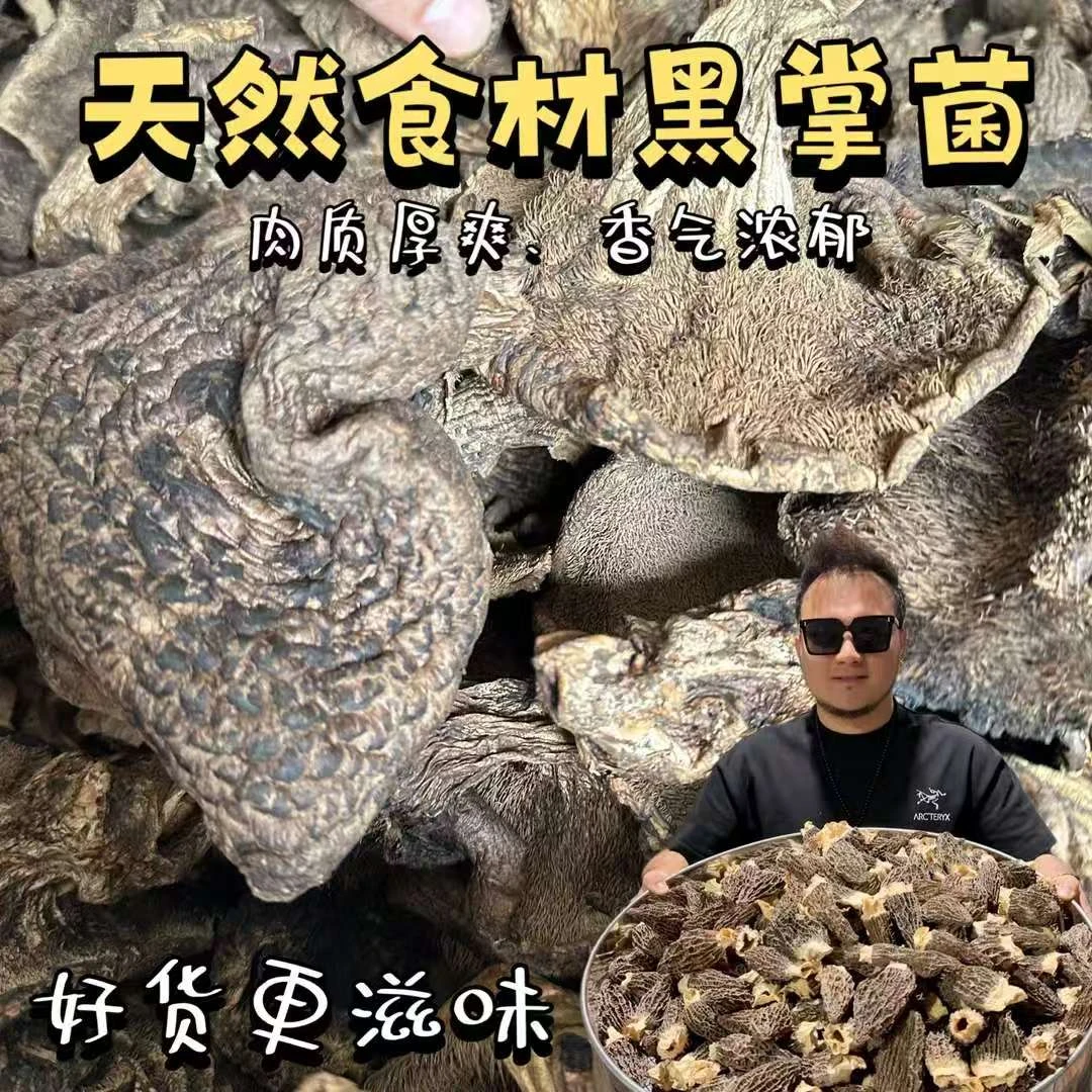 【干货】精选黑虎掌菌