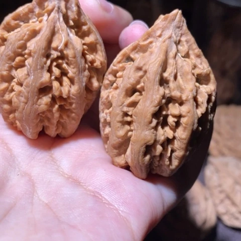 把件文玩核桃东北野生楸子小园 116