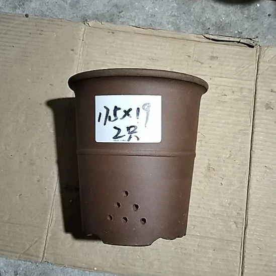 紫砂腰缠万贯两个