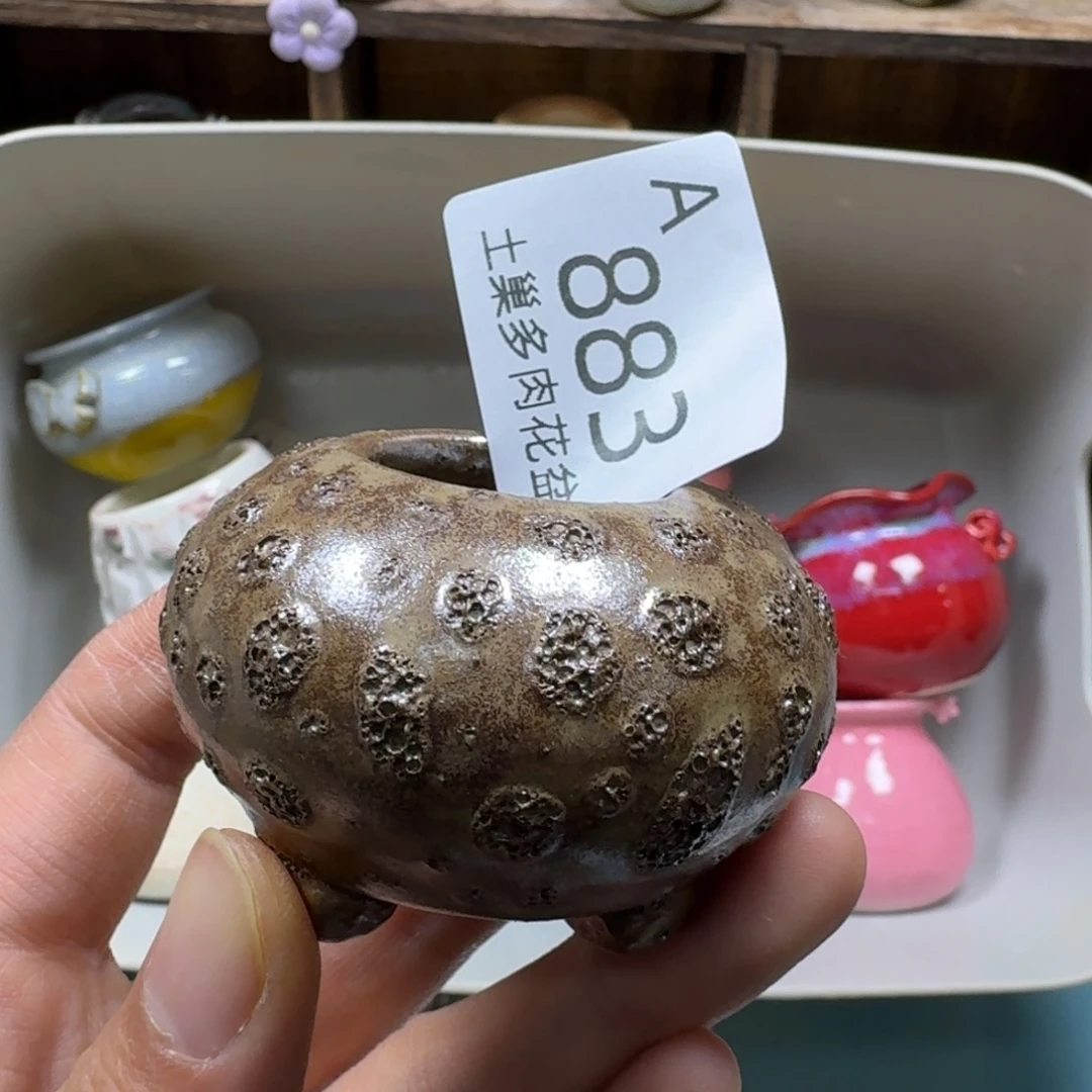 英***子陶瓷艺术品设计与制作