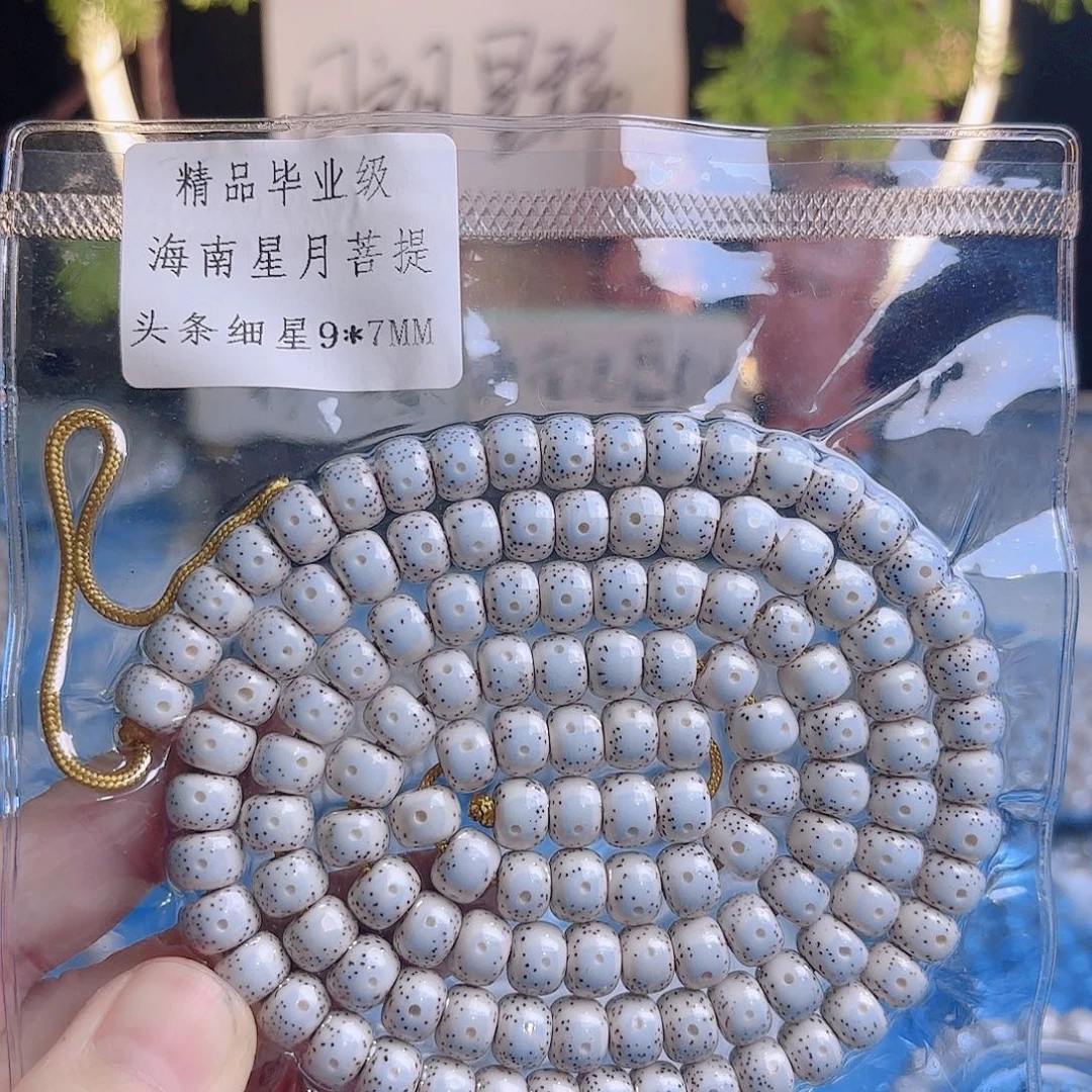 吊坠菩提根/象牙果