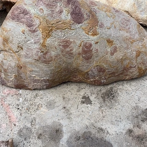 无花朵用****3家居装修案例