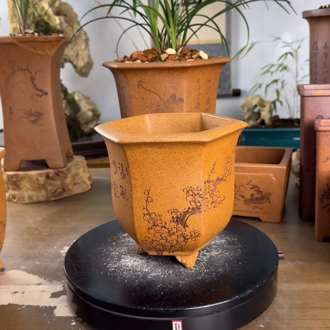 紫砂花盆紫砂花盆12.5-14