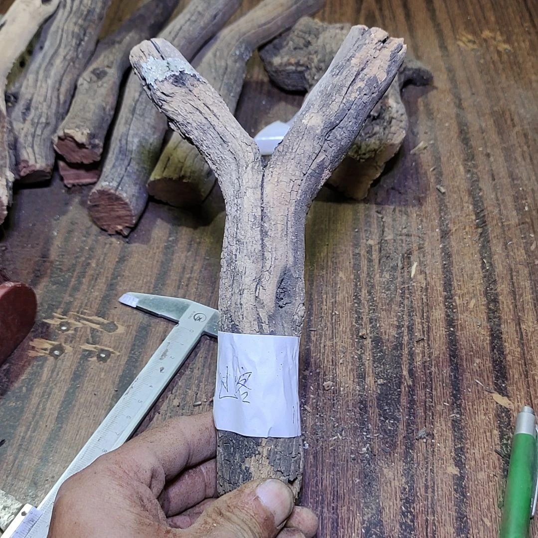 过***客火琉璃原杈，不保沉水，慎拍！