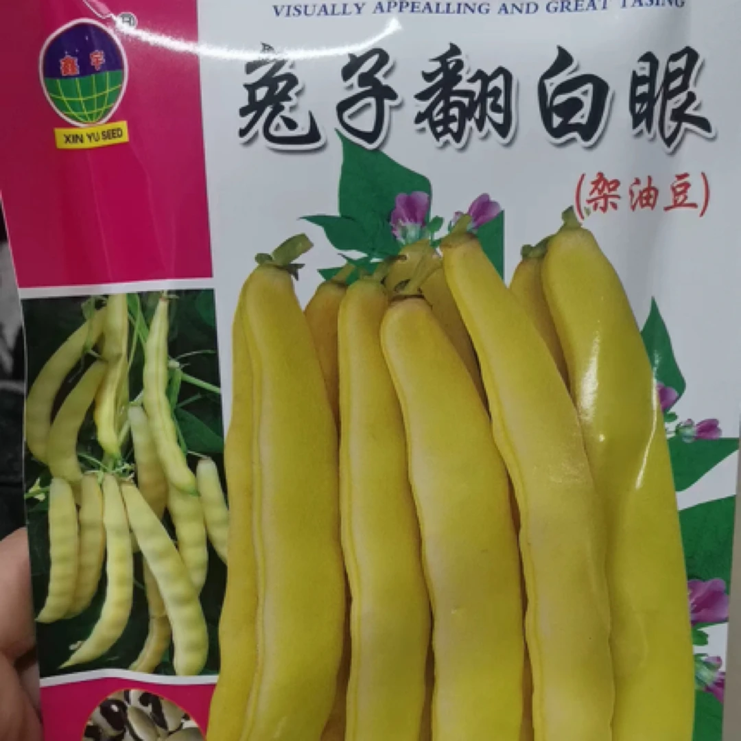 兔子翻白眼豆角种子