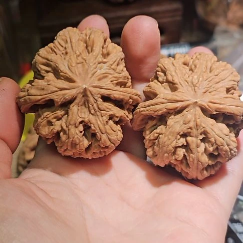 文玩核桃吊坠45粗筋