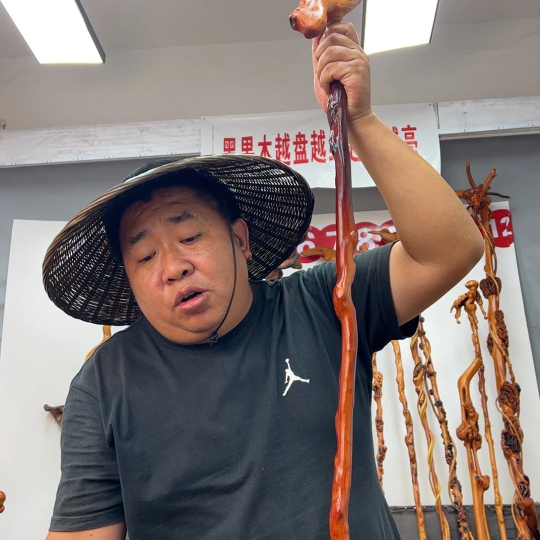 田***野黑果木其他黑果木600