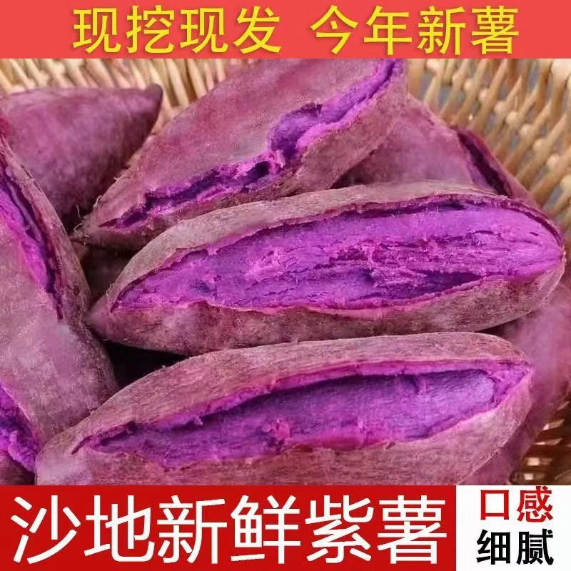 SYTJ紫罗兰头茬紫薯新鲜现挖软糯香甜可做粗粮早餐新鲜现挖