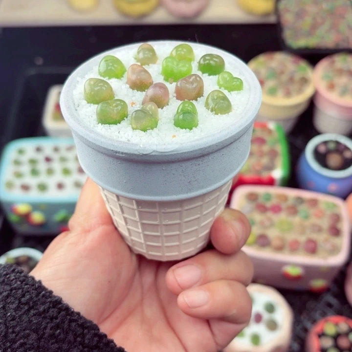 364零下地区记得拍保温箱满18包邮