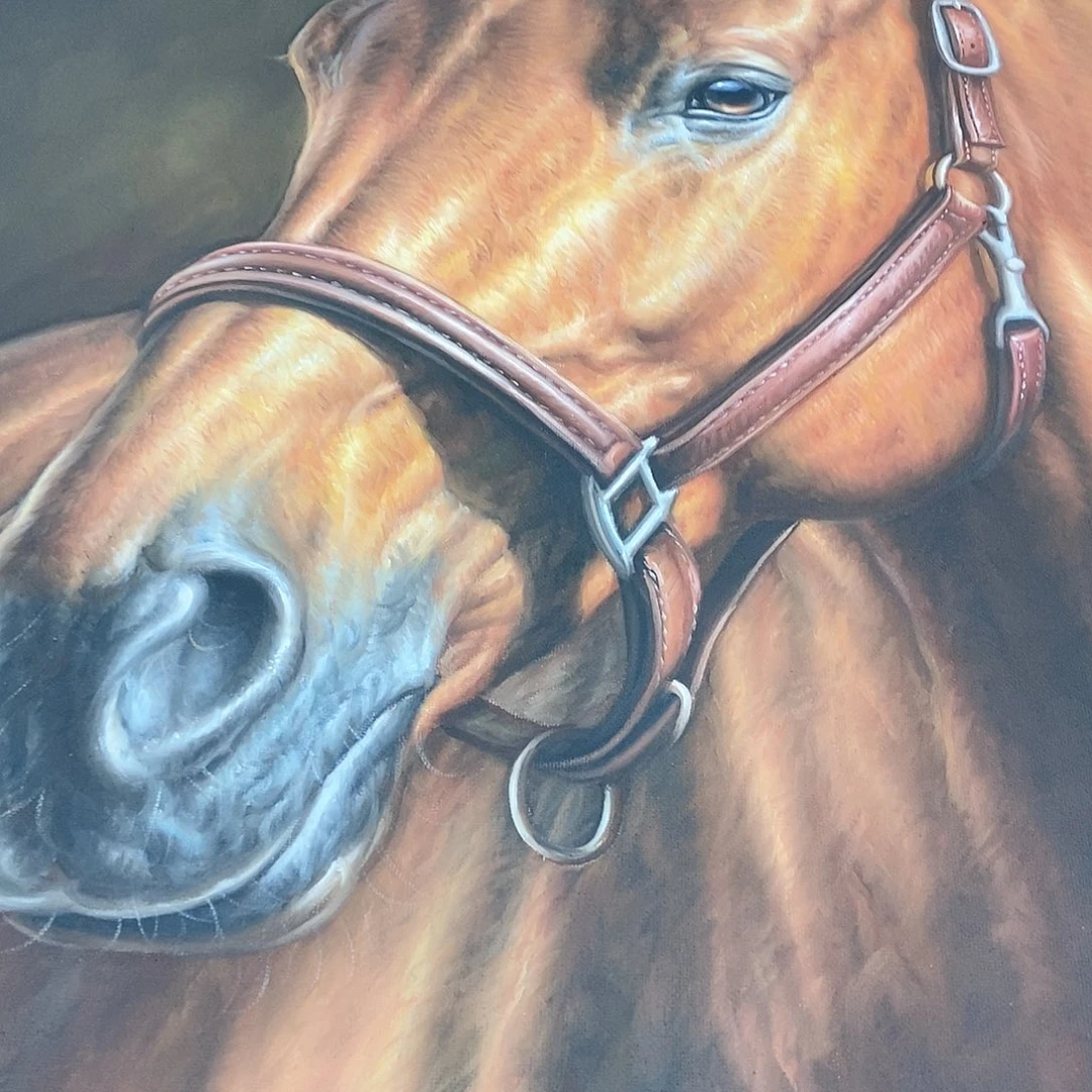 国画熊*猪书画作品欣赏？书画作品