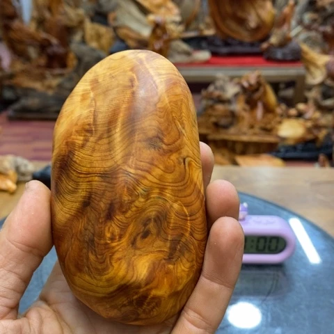 柏木（崖柏）種****慧太行崖柏陈化料摆件