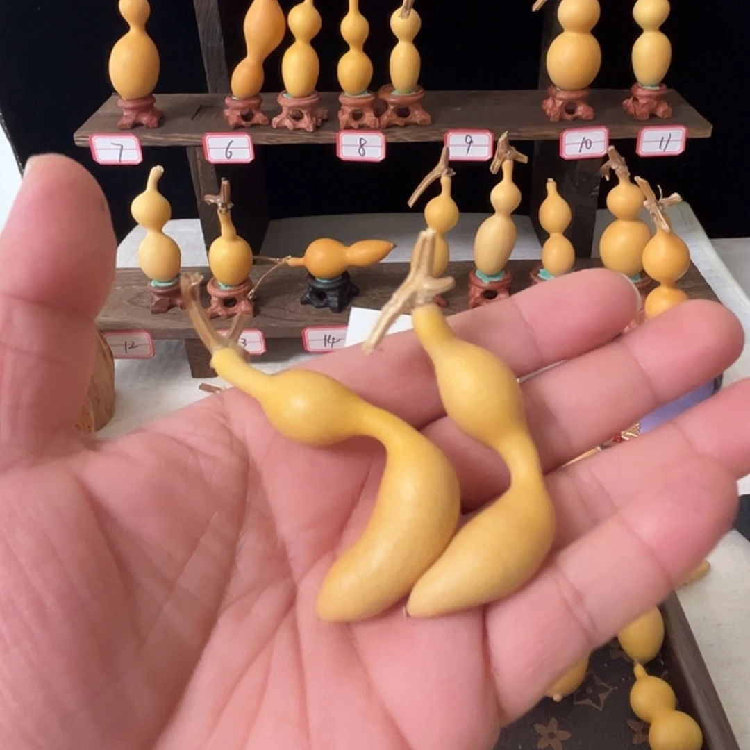 L***葫芦一对葫芦葫芦