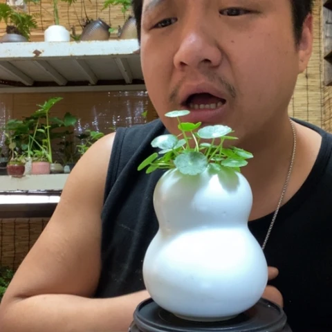 红陶白*.一物一拍所见即所得141